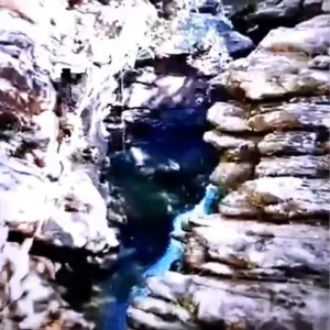 373501734519167